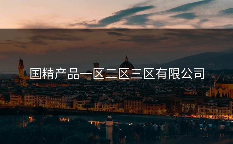 国精产品一区二区三区有限公司