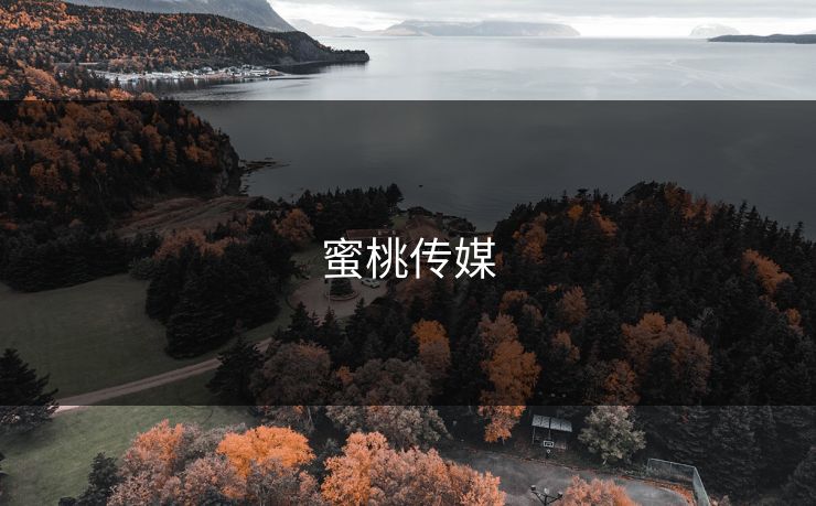 蜜桃传媒
