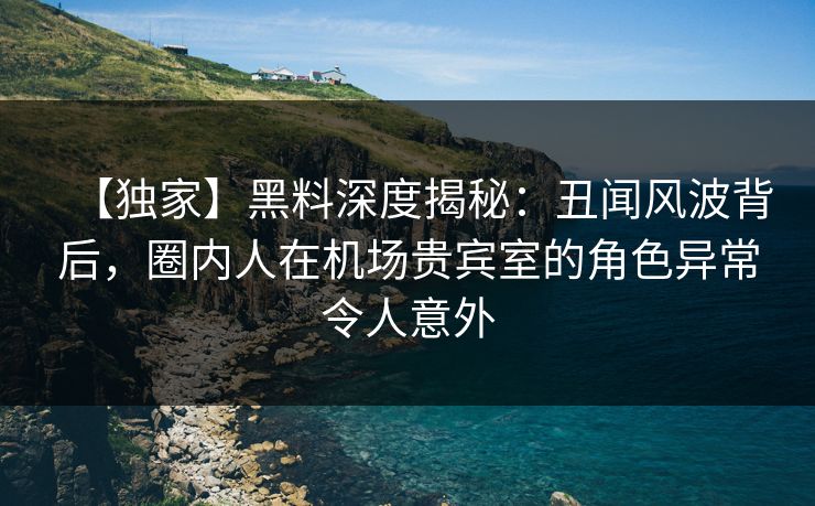 【独家】黑料深度揭秘：丑闻风波背后，圈内人在机场贵宾室的角色异常令人意外