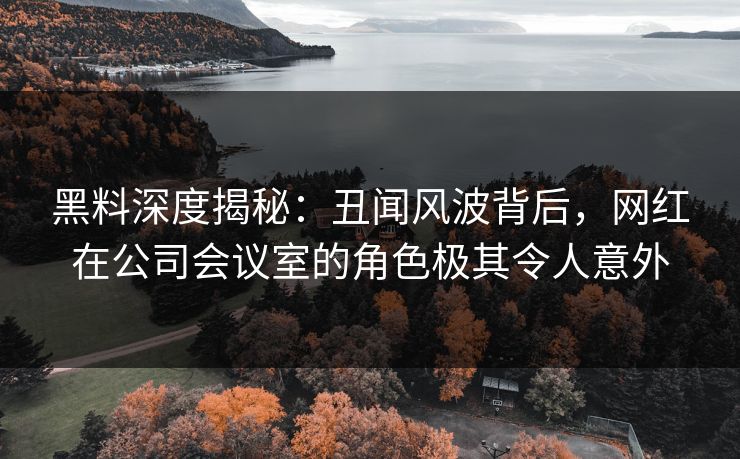 黑料深度揭秘：丑闻风波背后，网红在公司会议室的角色极其令人意外