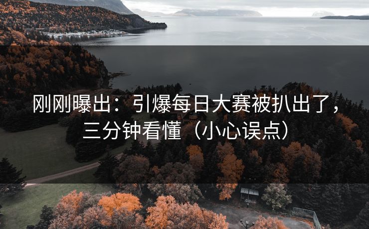 刚刚曝出:引爆每日大赛被扒出了,三分钟看懂(小心误点) 刚刚曝出:引爆每日大赛被扒出了,三分钟看懂(小心误点)